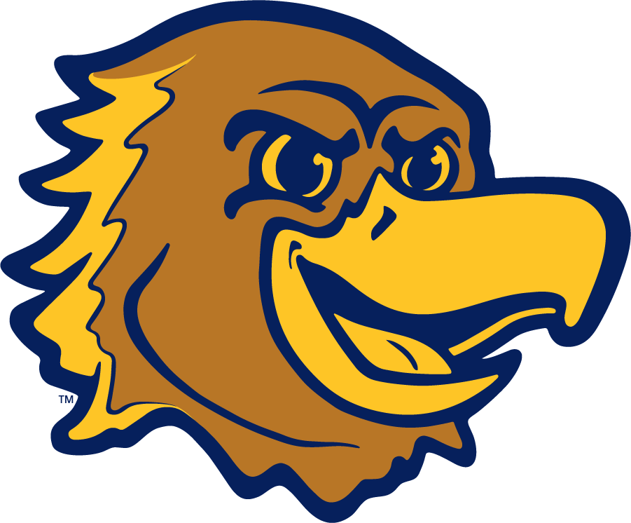 Marquette Golden Eagles 2020-Pres Mascot Logo iron on transfers for clothing